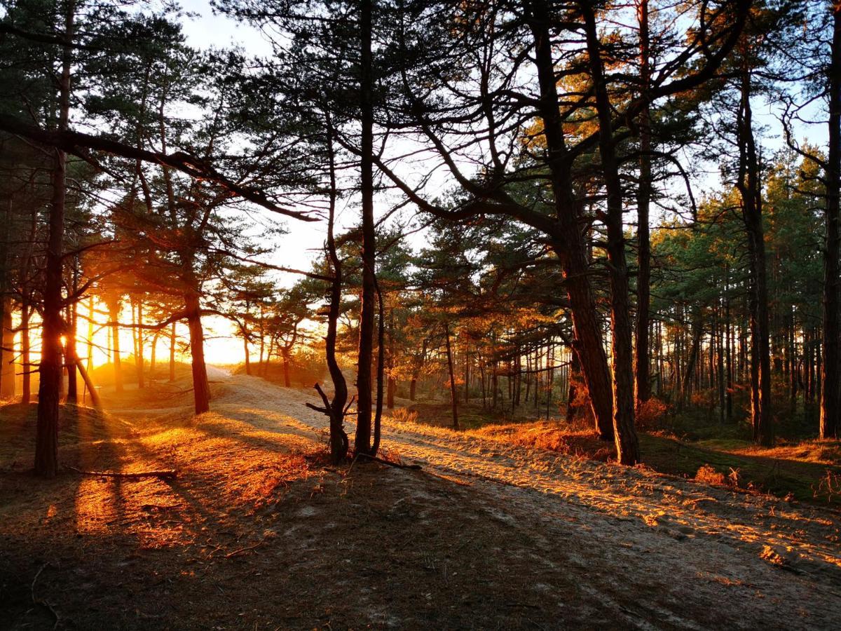 Sunny Pines Apartment Palanga Esterno foto